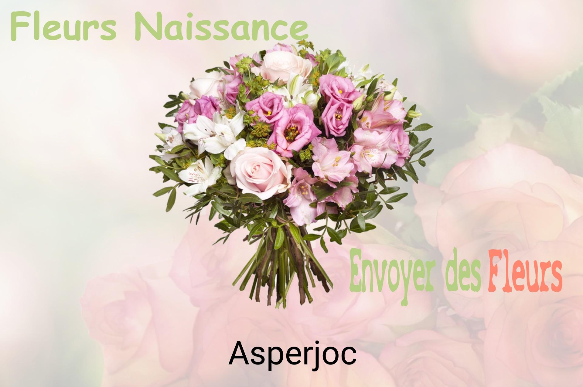 Bouquet de fleurs de naissance livré à Asperjoc