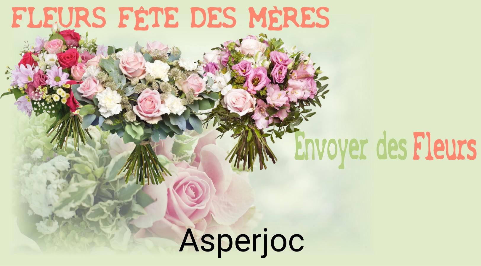 Bouquet de Fête des Mères livré à Asperjoc